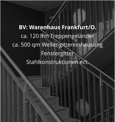 BV: Warenhaus Frankfurt/O.   ca. 120 lfm Treppengeländer ca. 500 qm Wellengittereinhausung Fenstergitter Stahlkonstruktionen ect.